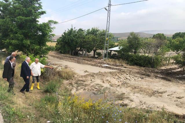 Güdül’de bazı ekili araziler sağanak ve doludan zarar gördü